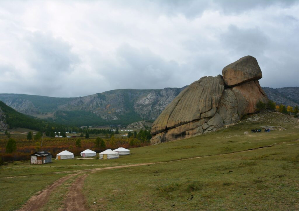 Mongolsko NP želva