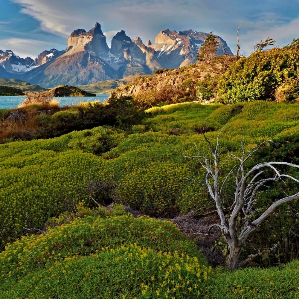 Antarktida Patagonie foto pan Jiří Kolbaba - zájezd