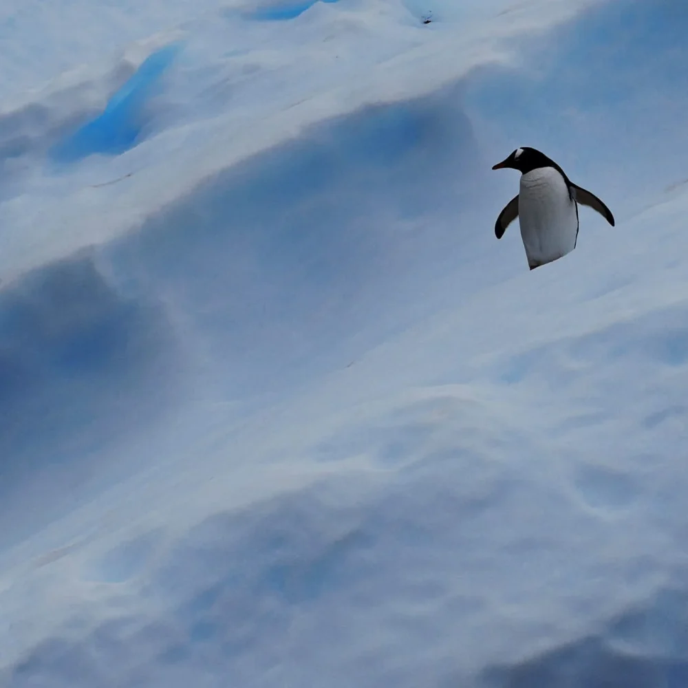 Antarktida Patagonie foto pan Jiří Kolbaba - zájezd