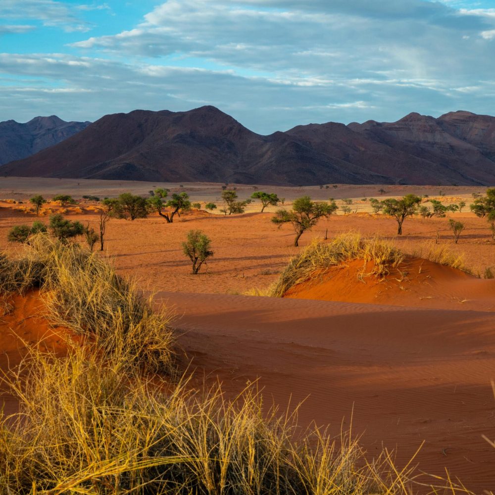 Namibie