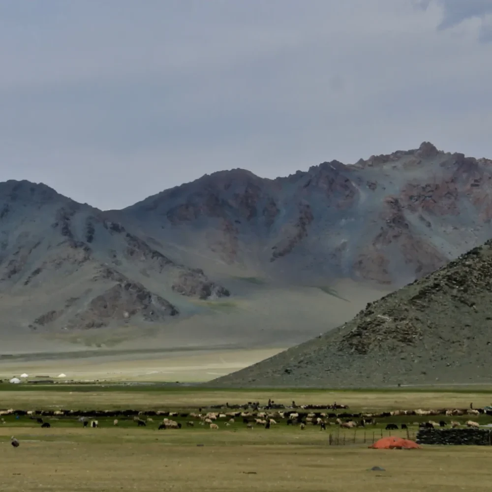 Mongolsko údolí Orchon