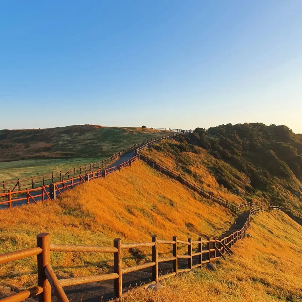 ostrov Jeju, Jižní Korea