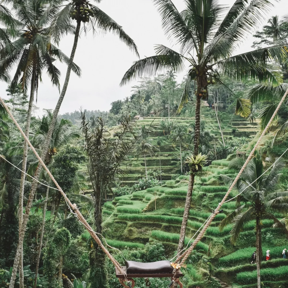 Indonesie Bali známá houpačka instafoto