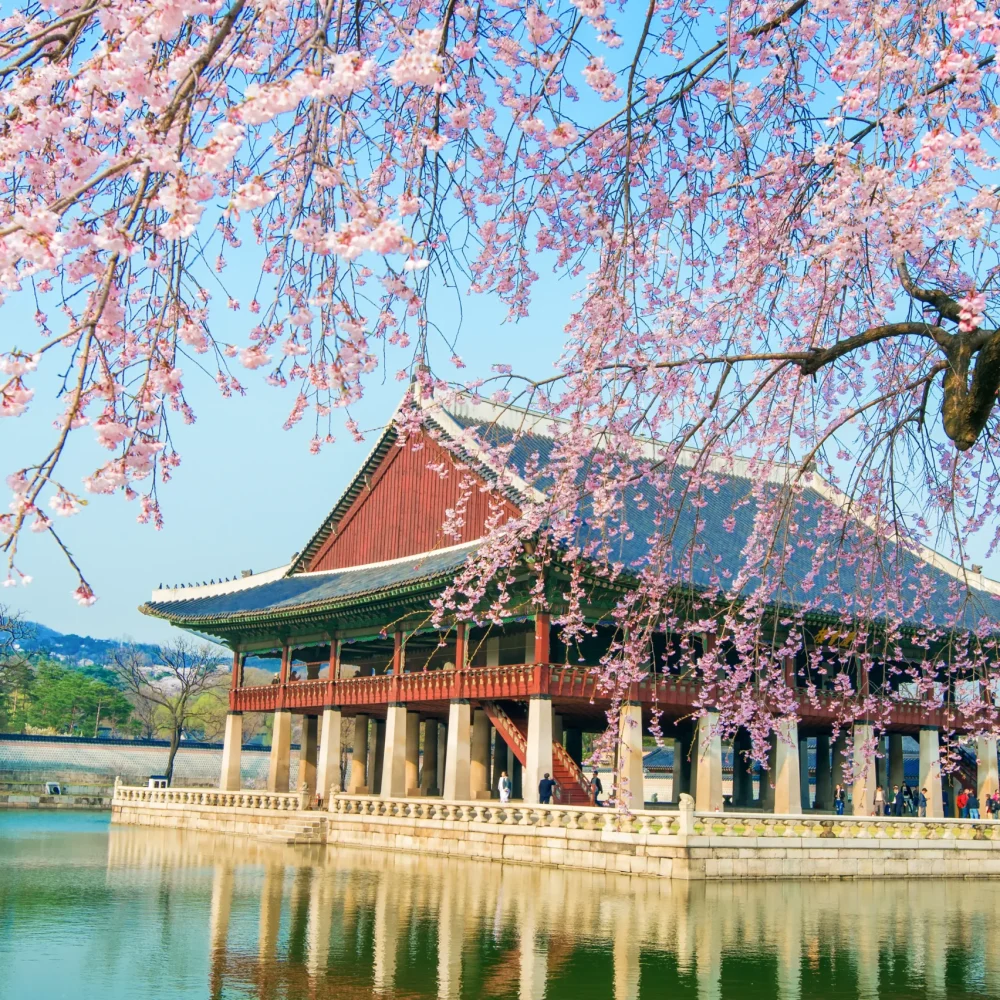 Jižní Korea - gyeongbokgung palác blízko