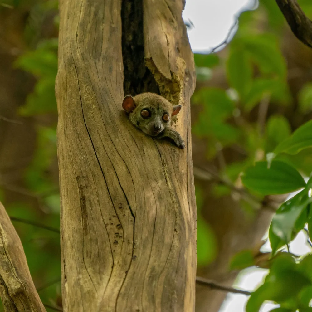 Madagaskar zájezd