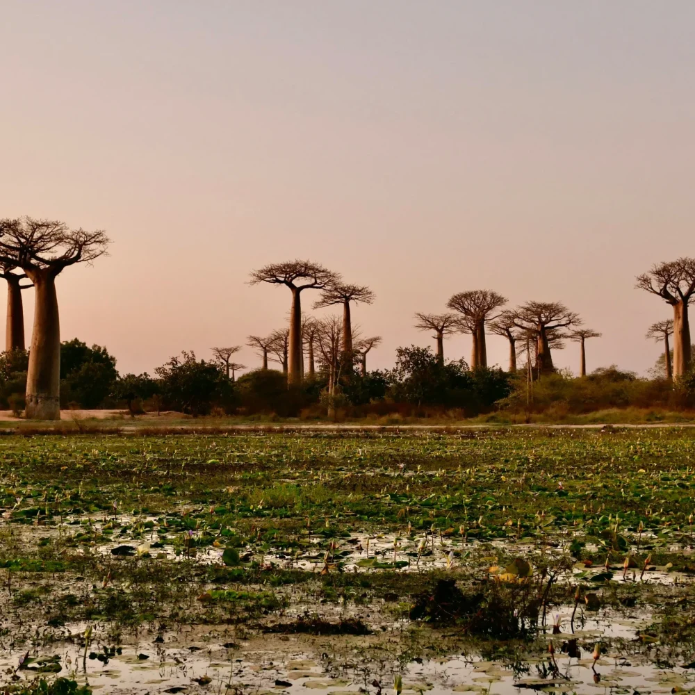 Madagaskar zájezd