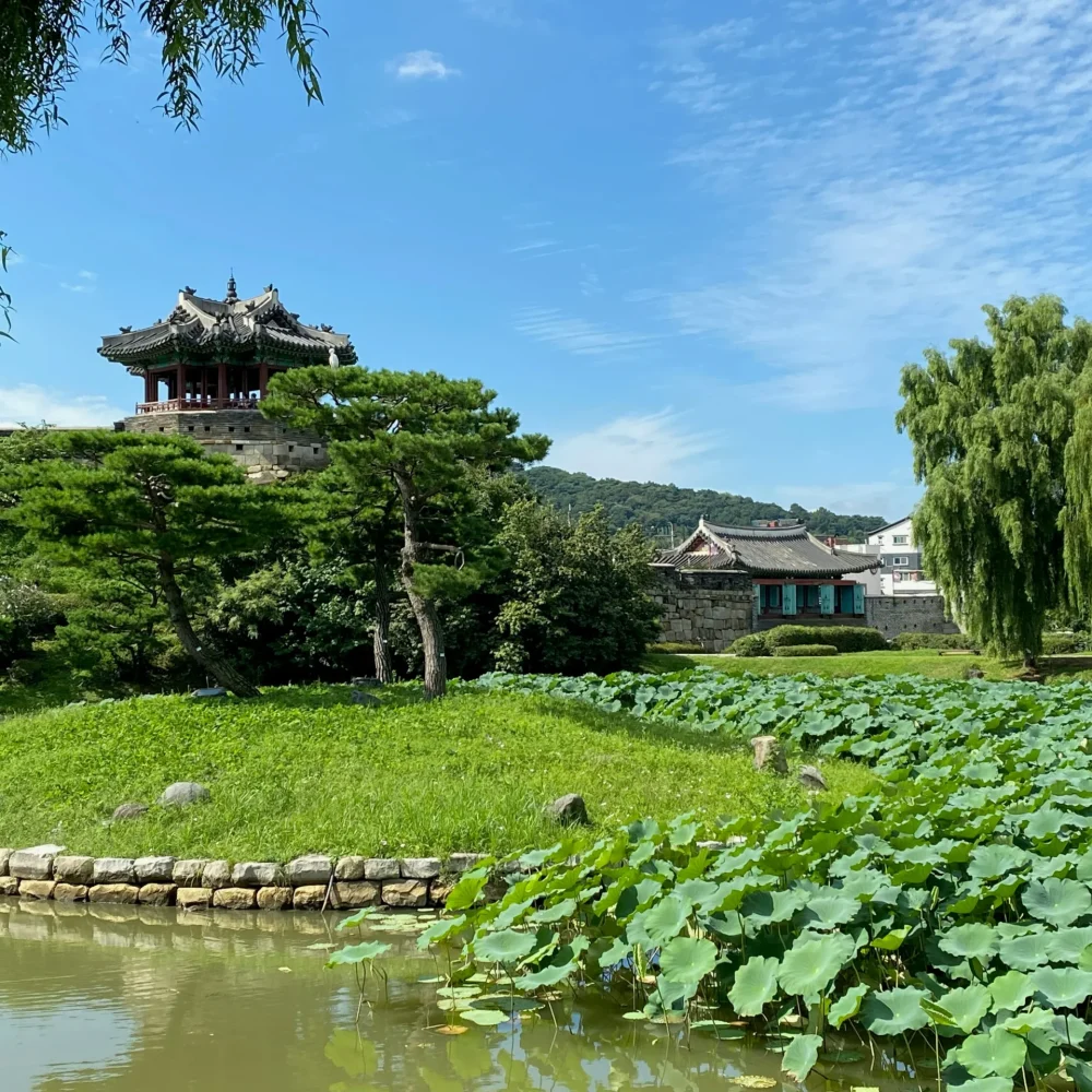 Jižní Korea Suwon
