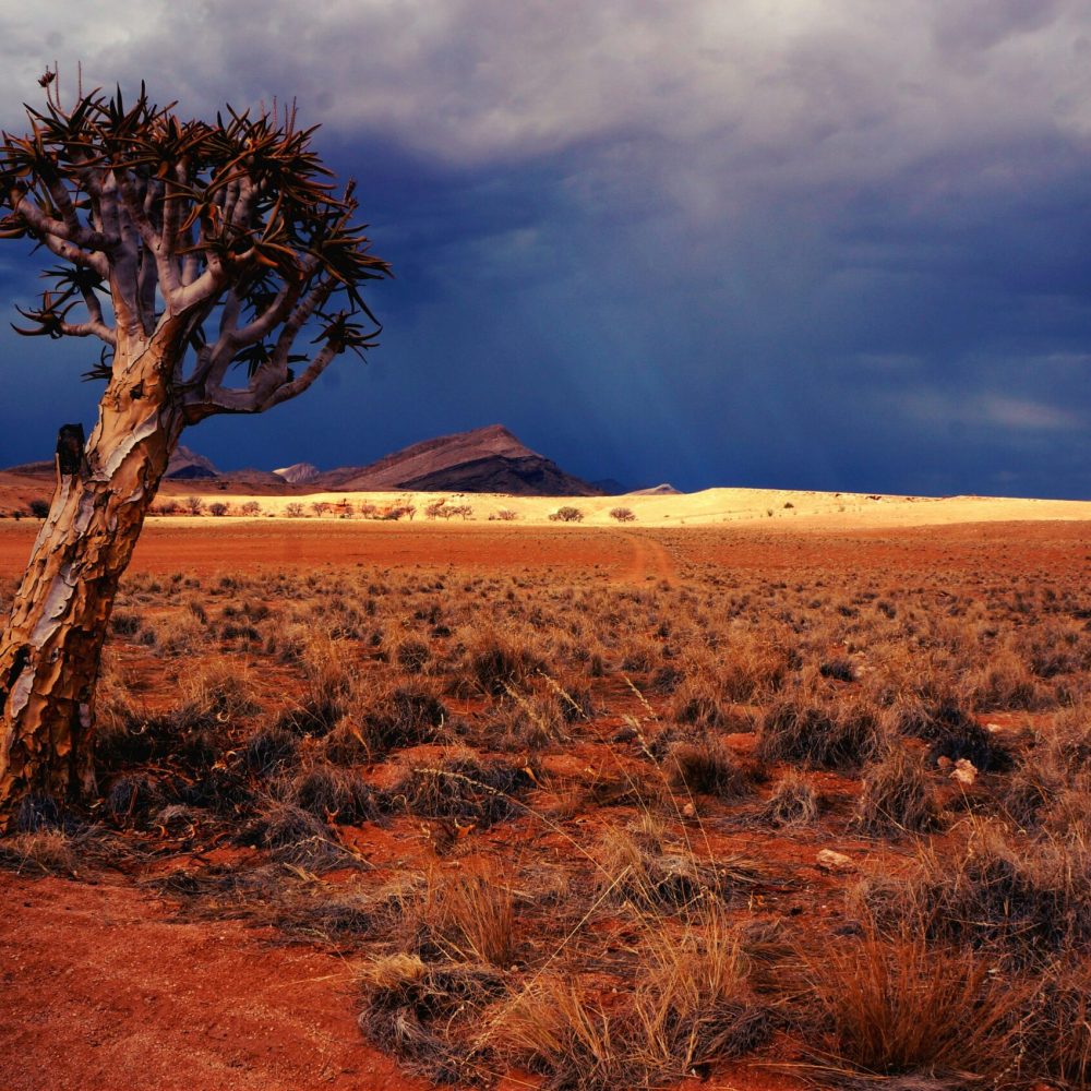 Namibie