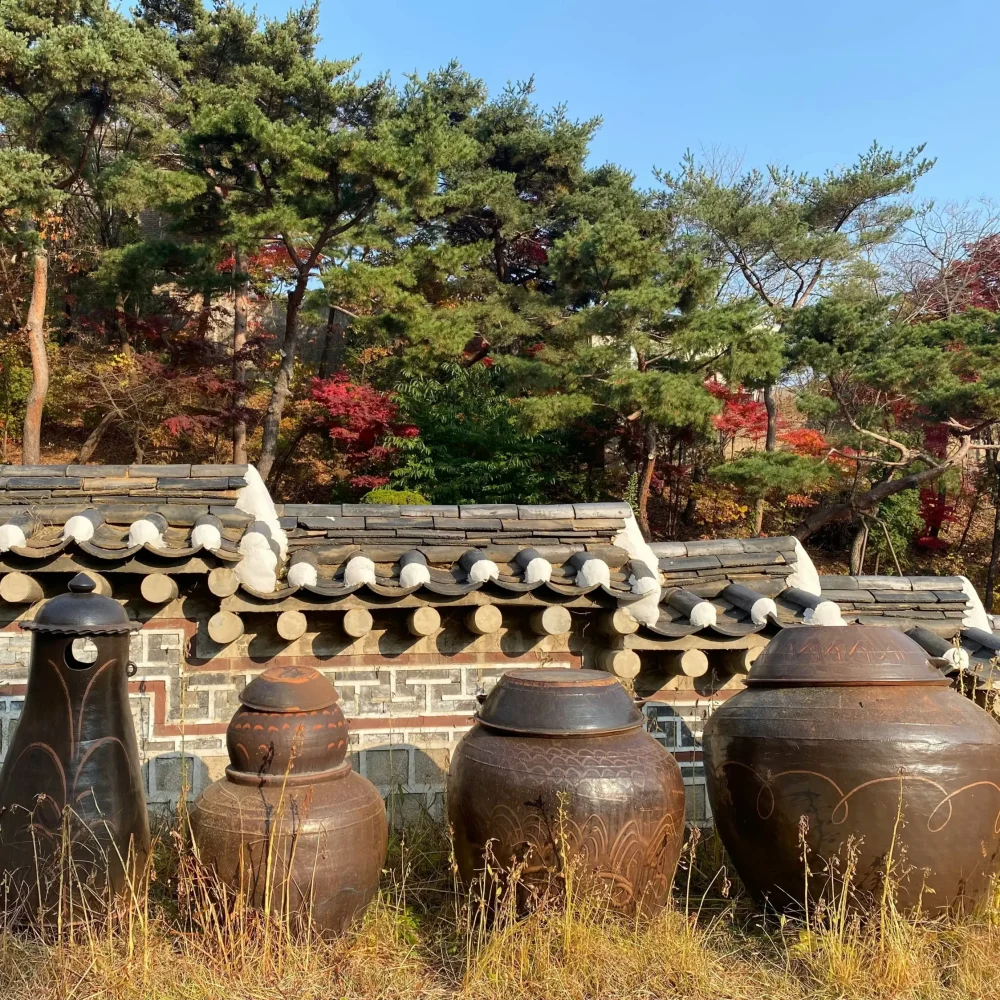 Jižní Korea hliněné vázy