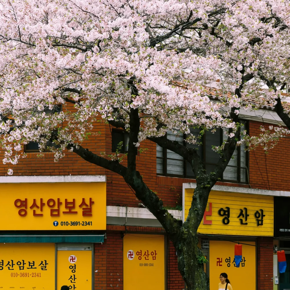 Jižní Korea ulice žlutá budova