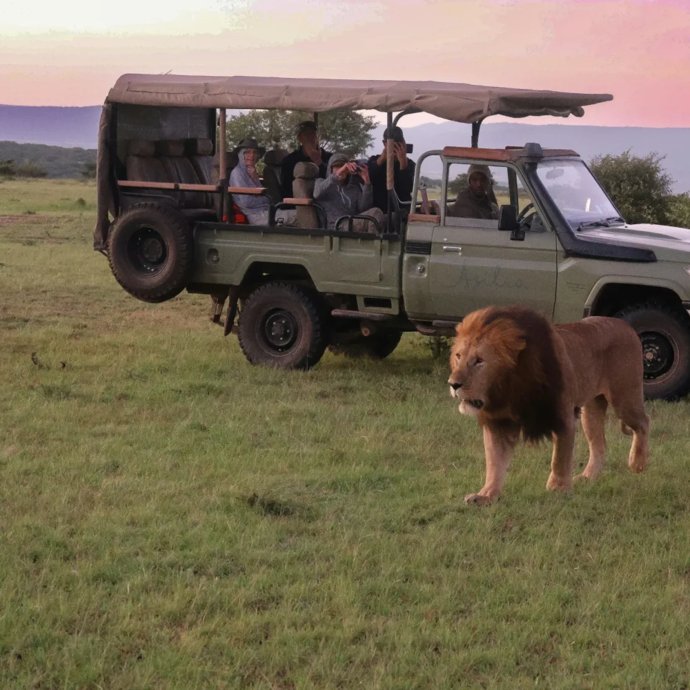 Keňa safari
