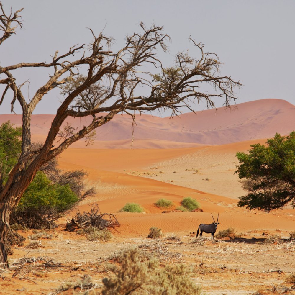Namibie