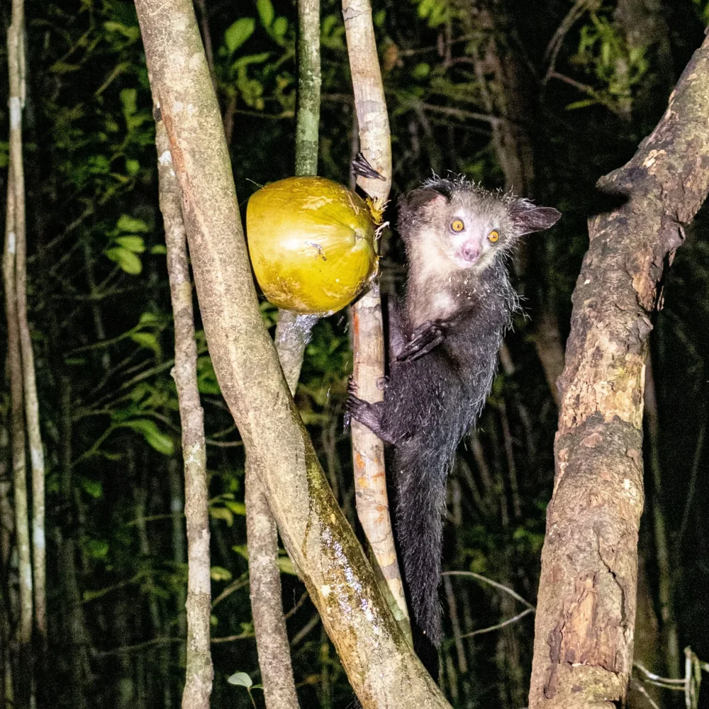 Madagaskar zájezd