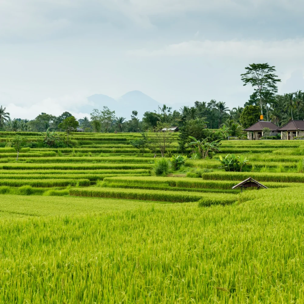 Bali Indonésie