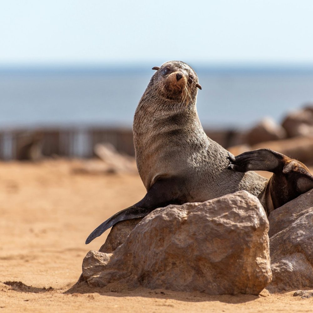 Namibie