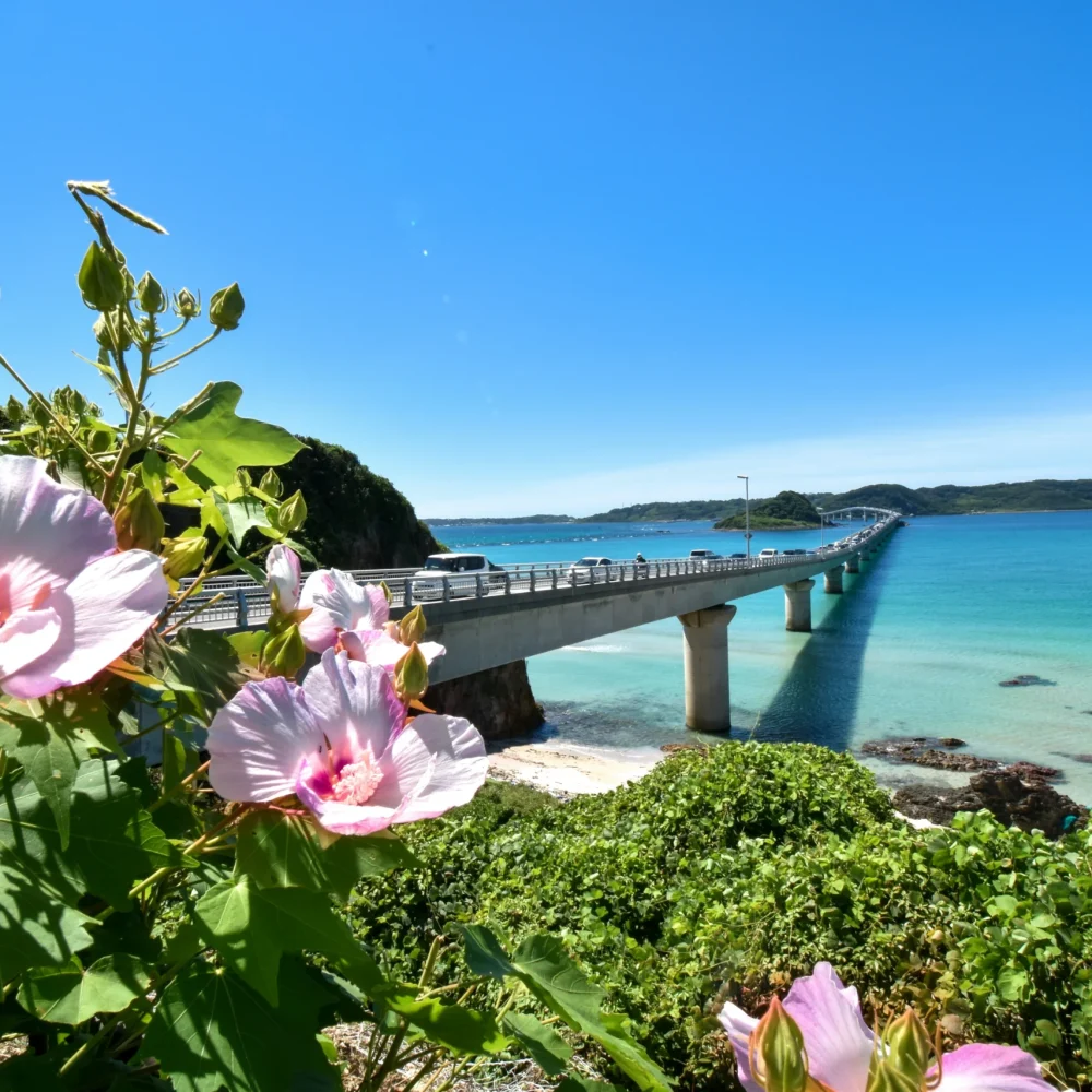 Okinawa Japonsko
