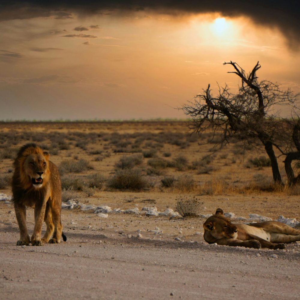 Namibie