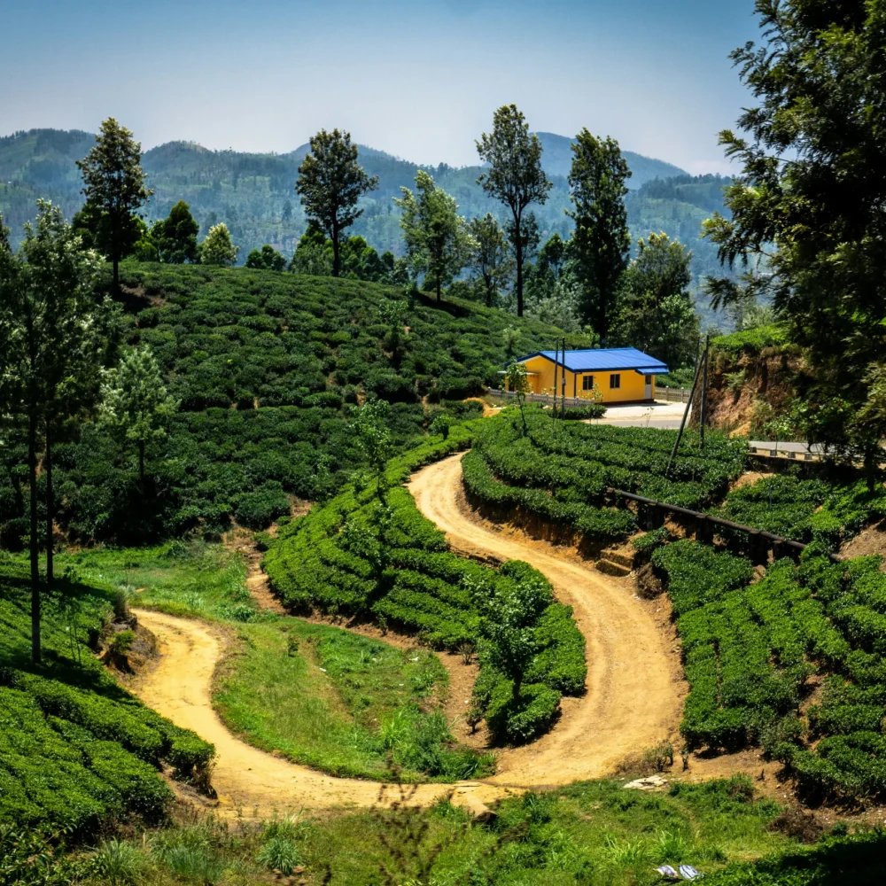 sri lanka příroda