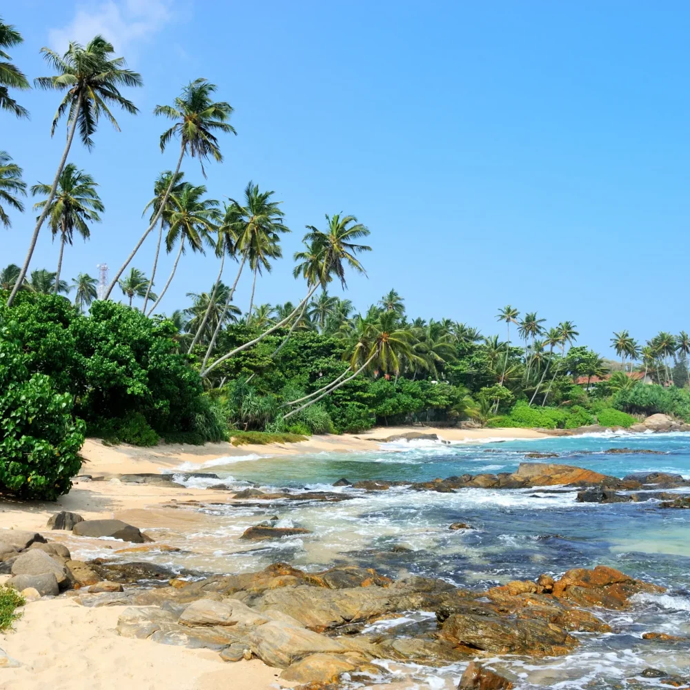 tropická pláž sri lanka