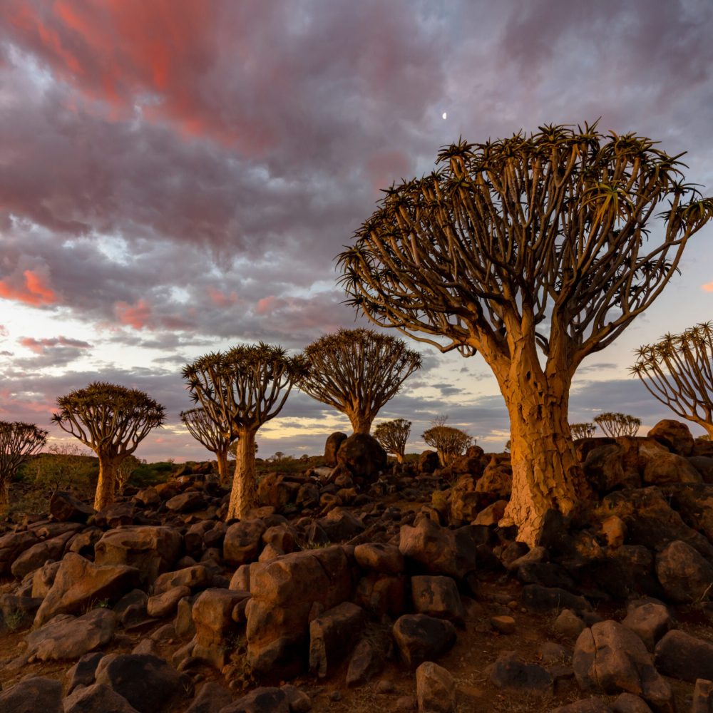Namibie