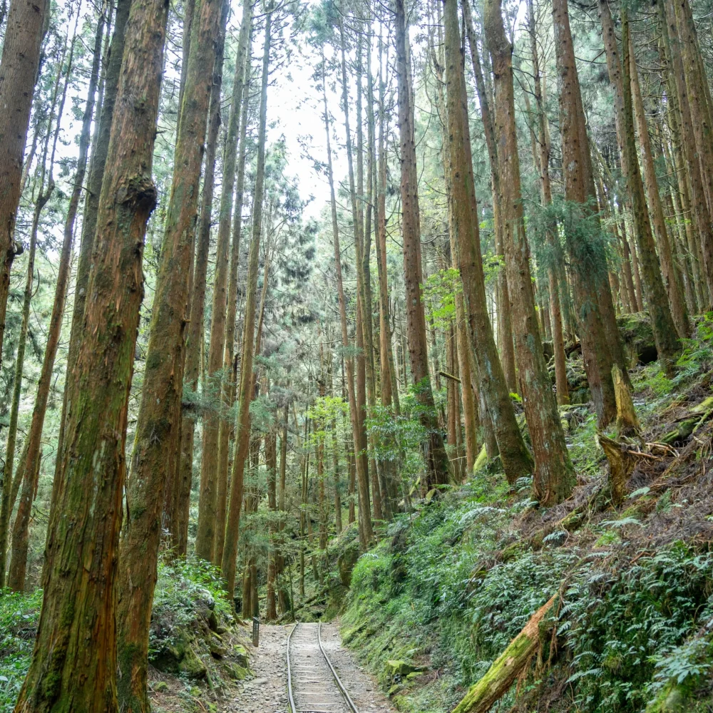 Taiwan
